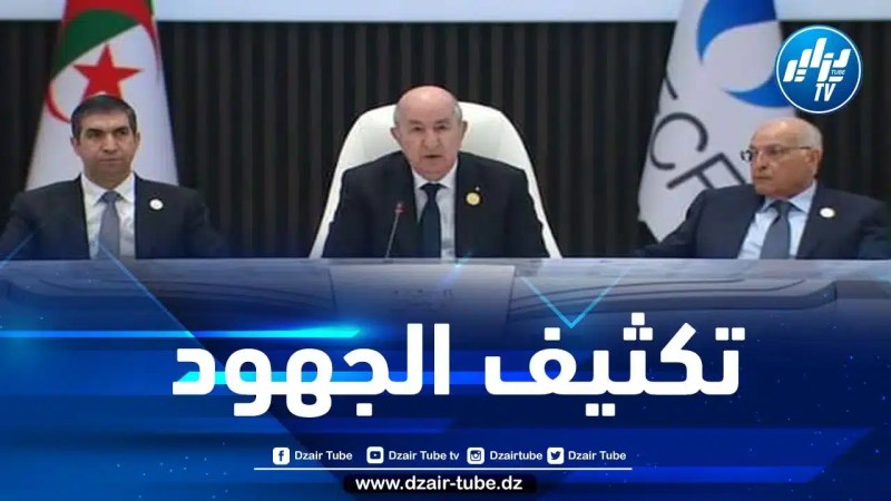 الرئيس تبون: القمة تشكل فرصة للمحافظة على مصالح المنتجين والمستهلكين للغاز