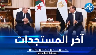 الرئيس تبون يتباحث مع نظيره المصري آخر التطورات في قطاع غزة
