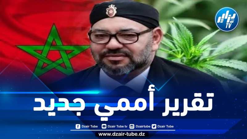 عصابات المخزن تُغرق منطقة الساحل بالمخدرات المغربية.. مملكة الكيف تهدّد مستقبل إفريقيا والعالم