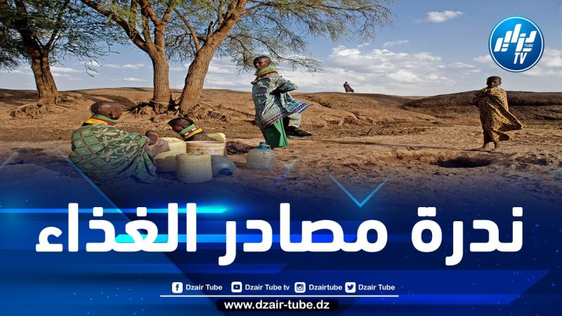 الجوع يهدد منطقة الجنوب الإفريقي بعد تلف المحاصيل بسبب الجفاف