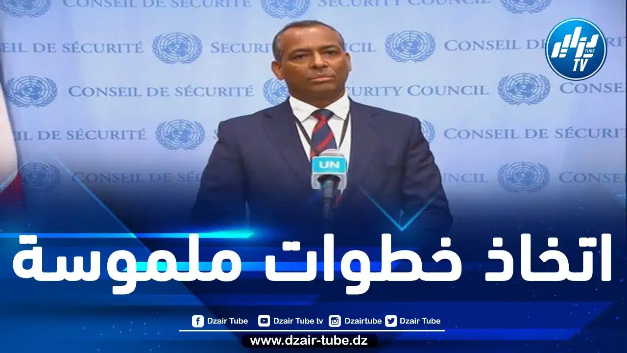 ممثل البوليساريو في الأمم المتحدة محمد سيدي عمار: انضمام الجزائر لمجلس الأمن قيمة مضافة لإحلال السلم والاستقرار
