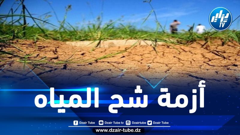 وزير في حكومة المخزن: المغرب سيفقد 20% من المساحات المزروعة بسبب الجفاف