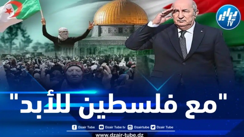 الرئيس تبون يؤكد ثبات موقف الجزائر الداعم للقضية الفلسطينية 