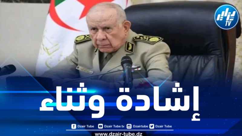 الفريق أول شنقريحة يشيد بنجاحات الدبلوماسية الجزائرية 