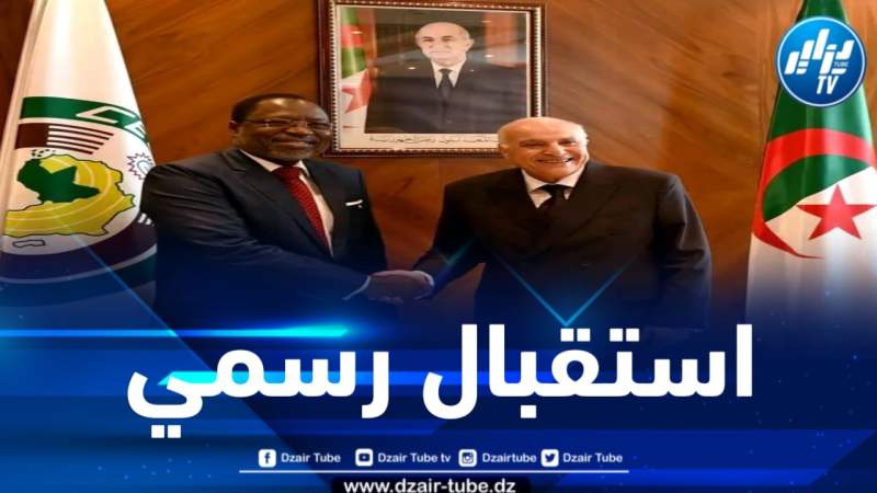 وزير الخارجية يستقبل رئيس مفوضية ” إيكواس”