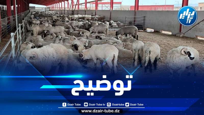 الشركة الجزائرية للحوم الحمراء تصدر بيانا هاما