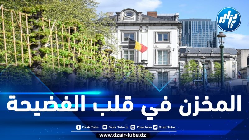 القضاء البلجيكي يفتح تحقيقا بخصوص التدخل المغربي في بلجيكا