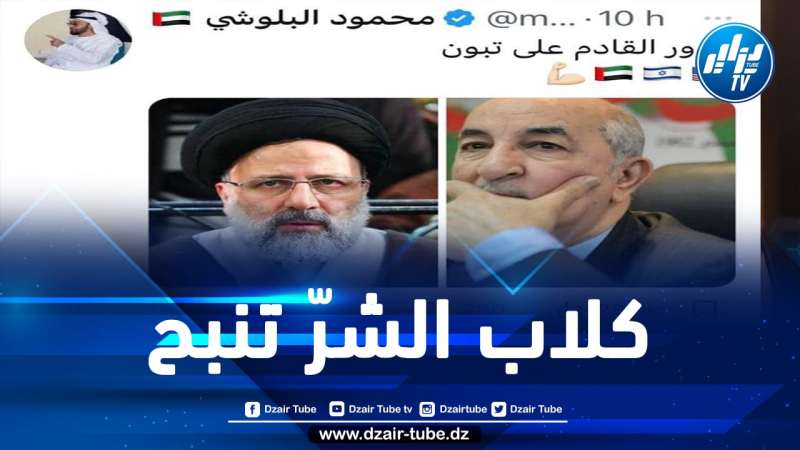 بعد أن تهجّم على الرئيس تبون.. “البلوشي” ينبح خلف قافلة الجزائر التي لا تلتفت لنباح كلاب محور الشّر والتطبيع