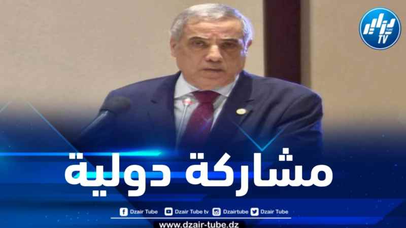 ممثلاً لرئيس الجمهورية .. الوزير الأول يتوجه إلى غامبيا