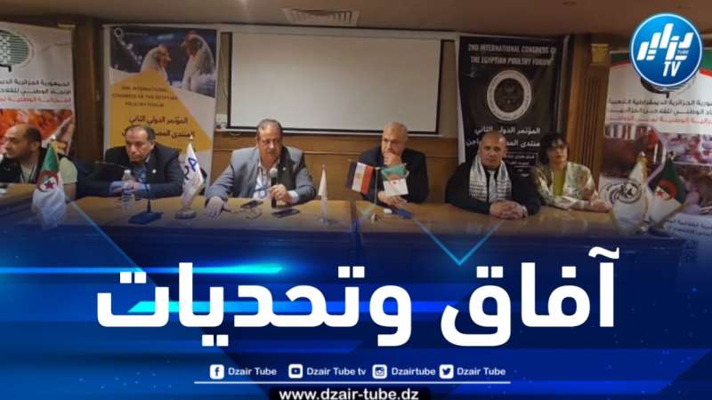 المؤتمر الدولي الثاني للمنتدى المصري للدواجن… توصيات وآفاق