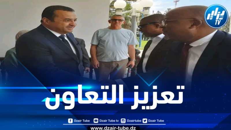 نحو إرساء شراكة بين الجزائر وموزمبيق في مجال الطاقة