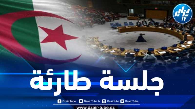 عقب مجزرة رفح .. الجزائر تدعو مجلس الأمن للاجتماع 
