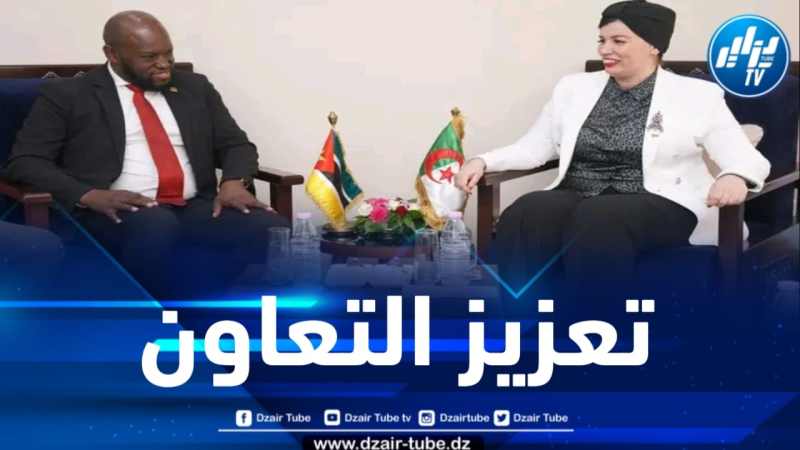 نحو تعزيز التعاون الثنائي في مجال الثقافة والفنون بين الجزائر وموزمبيق 