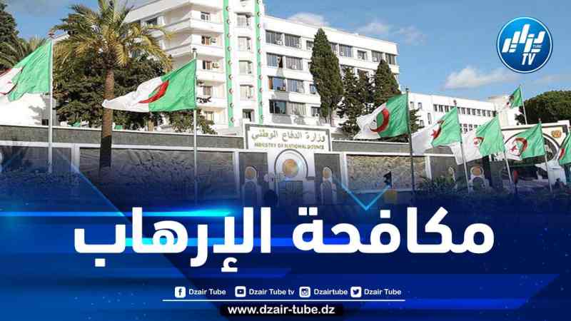 القضاء على إرهابي والقبض على عنصري دعم للإرهابيين بالناحية العسكرية السادسة