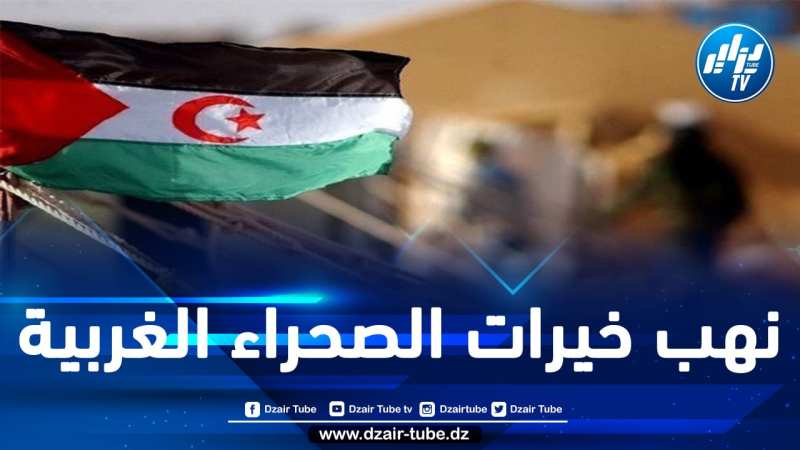 جبهة البوليساريو تحذر شركة “فورتسكيو” الأسترالية من التورط في نهب الثروات الصحراوية