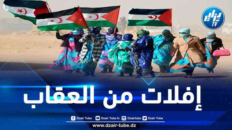 وضعية حقوق الانسان في الصحراء الغربية تتجه نحو الأسوأ