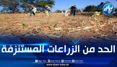 المغرب يواجه أزمة خطيرة تمس قدرته على توفير الغذاء