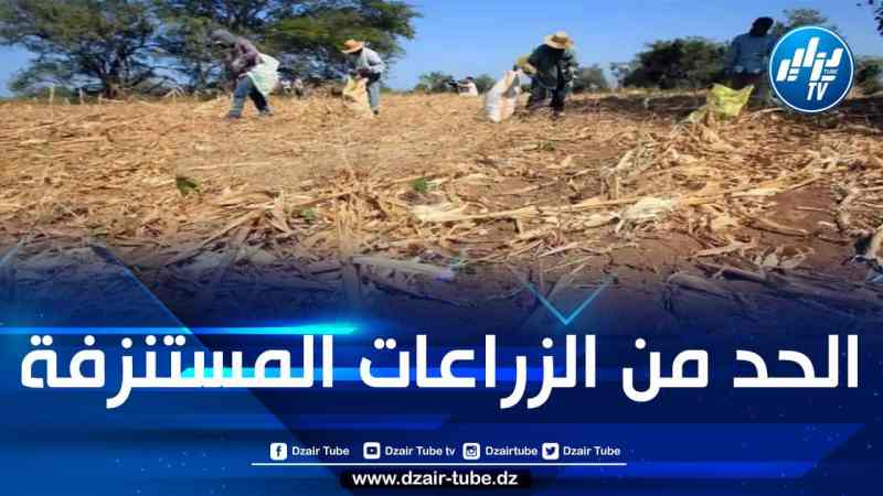 المغرب يواجه أزمة خطيرة تمس قدرته على توفير الغذاء