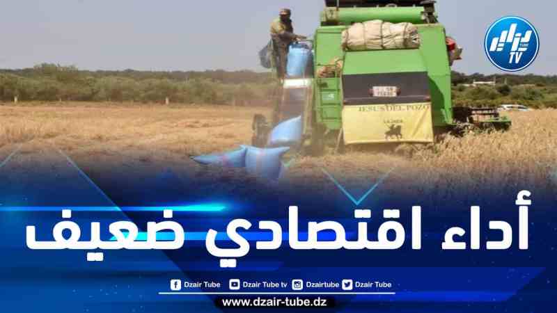 البنك الدولي: تراجع نسبة النمو بالمغرب إلى 2,4% سنة 2024