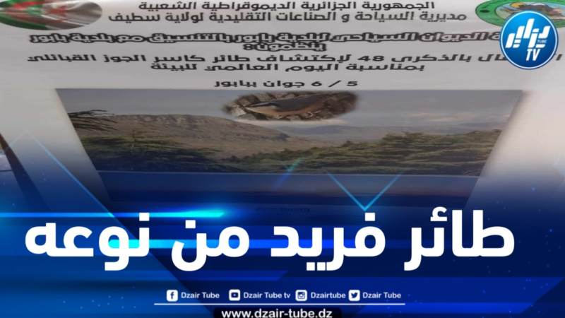 سطيف : تنظيم احتفال بمناسبة الذكرى الـ 48 لاكتشاف الطائر “كاسر الجوز القبائلي” غداً الخميس ببابور