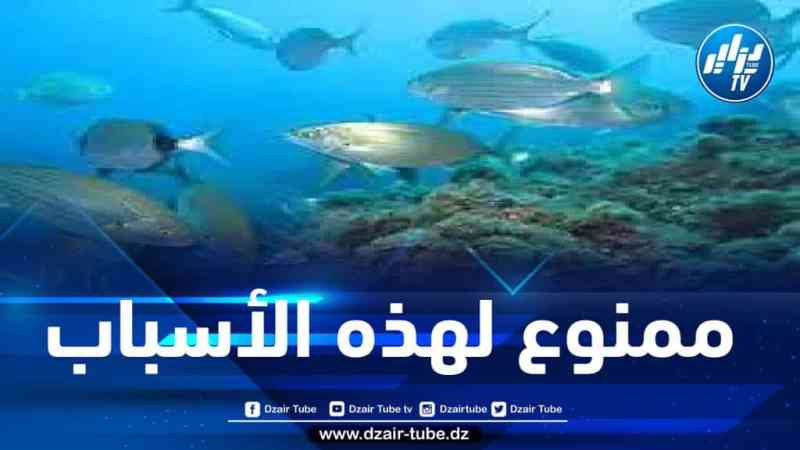 منع الصيد البحري لهذه الأسباب 
