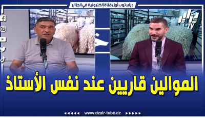 فيديو دزاير توب: الموالين تحسهم قاريين عند نفس الأستاذ و يتحداو المستهلك