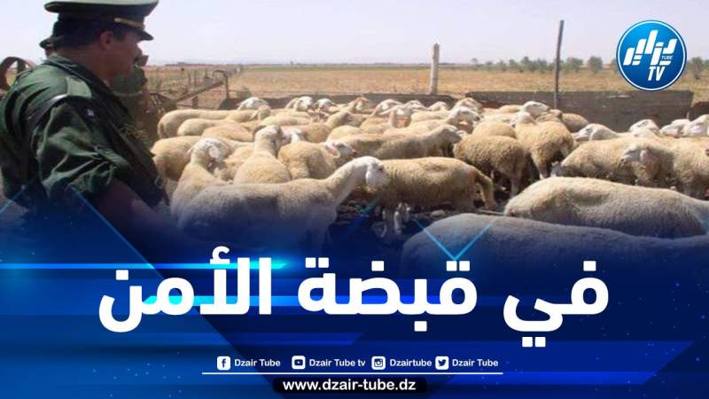 الدرك الوطني بتيارت يوقف نشاط عصابة مختصة في سرقة المواشي