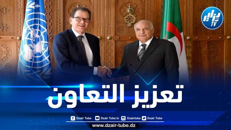 وزير الخارجية يستقبل المدير العام لمنظمة الأمم المتحدة للتنمية الصناعية