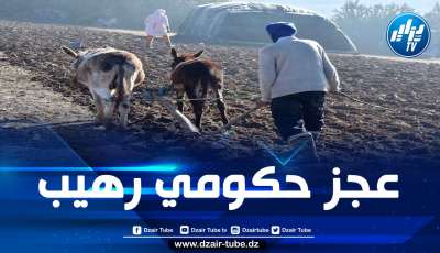 تحذيرات من الوضع “الكارثي” للفلاحة في المغرب