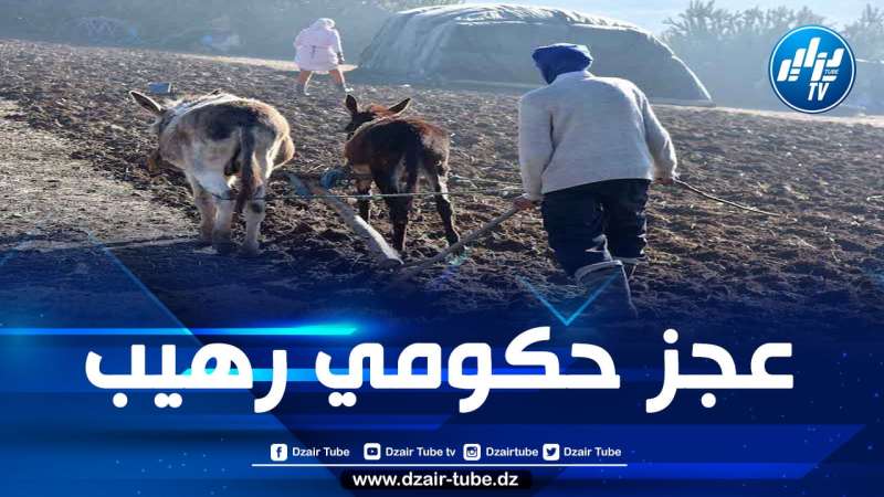 تحذيرات من الوضع “الكارثي” للفلاحة في المغرب