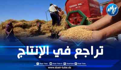 واردات القمح تضرب الميزان التجاري للمغرب بقوة