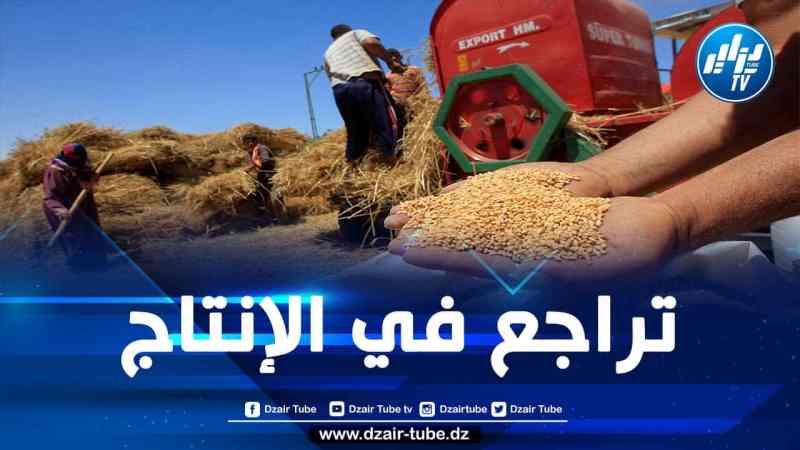 واردات القمح تضرب الميزان التجاري للمغرب بقوة