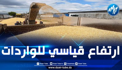 المغرب يستورد أزيد من 200 ألف طن من القمح الروسي منذ بداية 2024