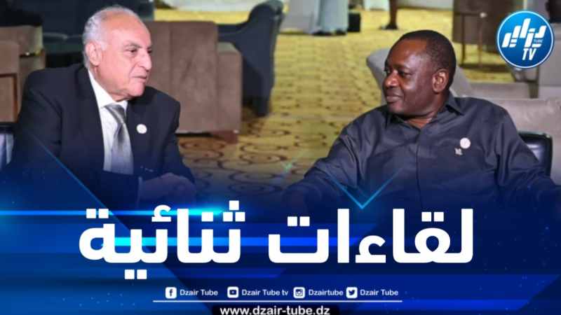 وزير الخارجية يعقد لقاءات ثنائية مع عدد من نظرائه