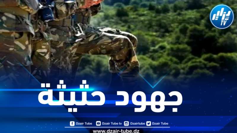 توقيف 103 منقبين غير شرعيين عن الذهب بالجنوب 