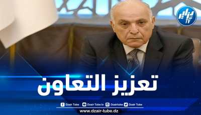 وزير الخارجية يجري مكالمة هاتفية مع نظيره المصري