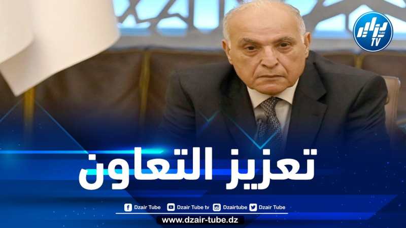 وزير الخارجية يجري مكالمة هاتفية مع نظيره المصري