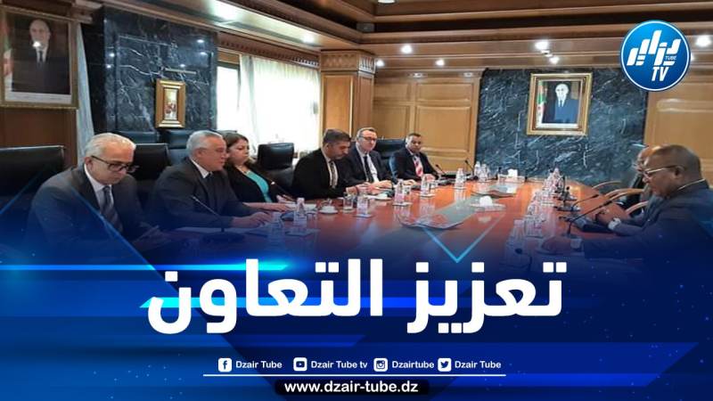 تعزيز وتنشيط علاقات التعاون الجزائرية-الكونغولية في مجالي الطاقة والمناجم
