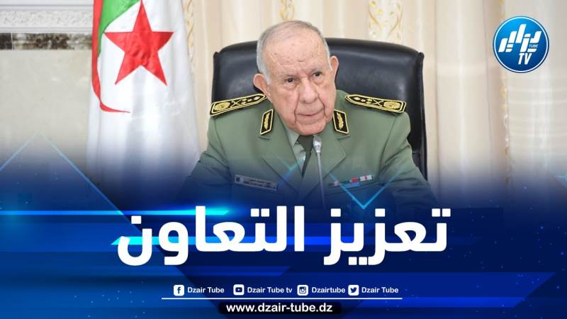 الفريق أول شنقريحة يستقبل قائد القيادة الأمريكية لإفريقيا “الأفريكوم”