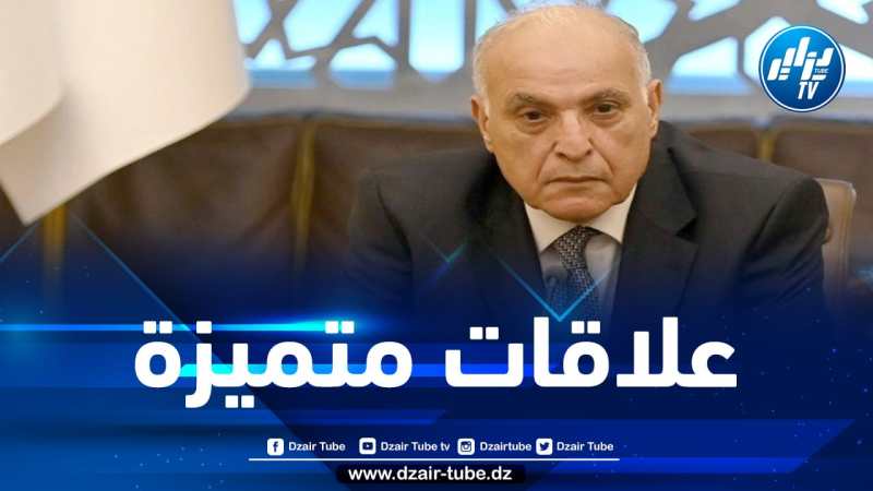 وزير الخارجية يستقبل مبعوث الحكومة الصينية الخاص بشؤون الشرق الأوسط