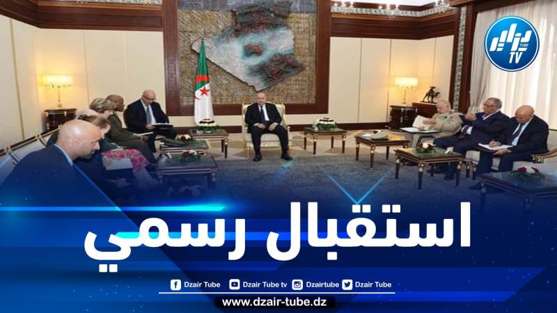 رئيس الجمهورية يستقبل قائد القيادة الأمريكية في إفريقيا “أفريكوم”
