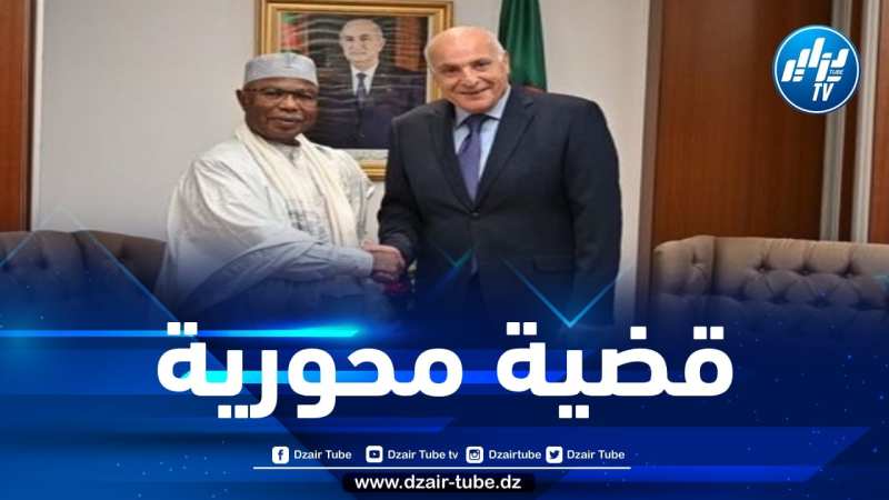 القضية الفلسطينية محور لقاء جمع بين وزير الخارجية والأمين العام لمنظمة التعاون الإسلامي