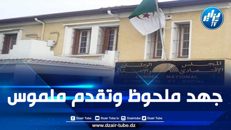 المجلس الوطني الاقتصادي والاجتماعي والبيئي يُصدر تقرير التنمية الاجتماعية والبشرية 2019-2023