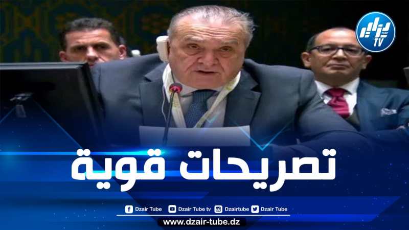 الجزائر تطالب مجلس الأمن بفرض عقوبات على الكيان الصهيوني وعدم الاكتفاء بإحصاء الشهداء في غزة