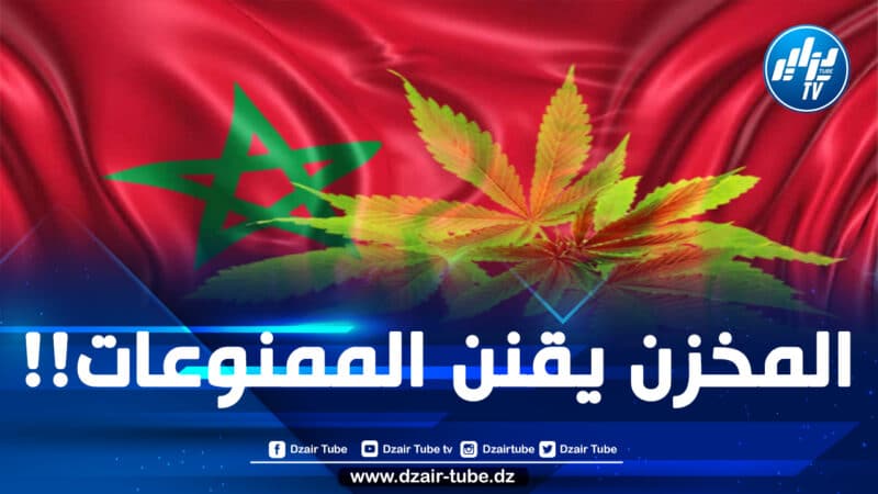 وكالة تقنين الأنشطة المتعلقة بالقنب الهندي في المغرب تصدر أزيد من 3000 ترخيص للزراعة والإنتاج منذ بداية 2024