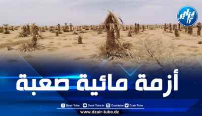 المغرب: مطالب بإعلان إقليم زاكورة منطقة منكوبة بسبب العجز المائي الكبير