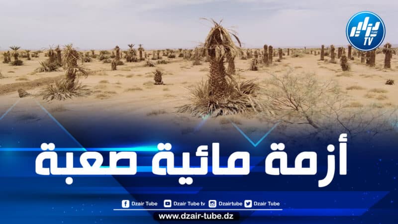 المغرب: مطالب بإعلان إقليم زاكورة منطقة منكوبة بسبب العجز المائي الكبير