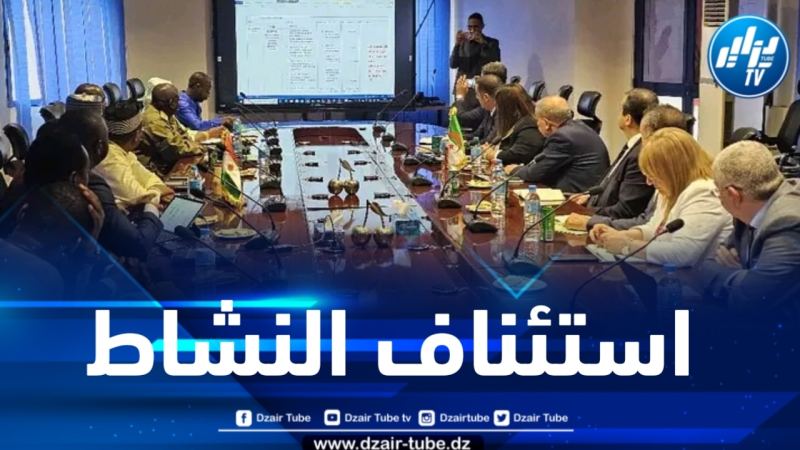 سوناطراك تستأنف نشاطها بالنيجر