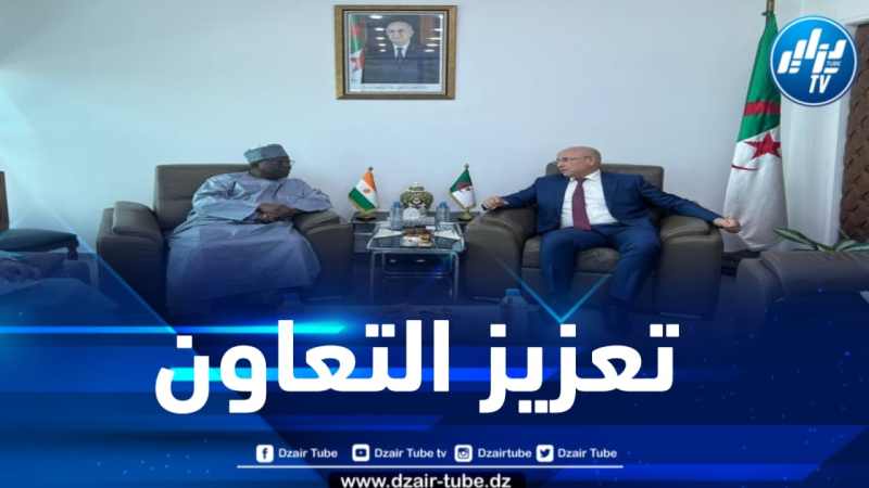 نحو تعزيز علاقات التعاون التجاري بين الجزائر والنيجر