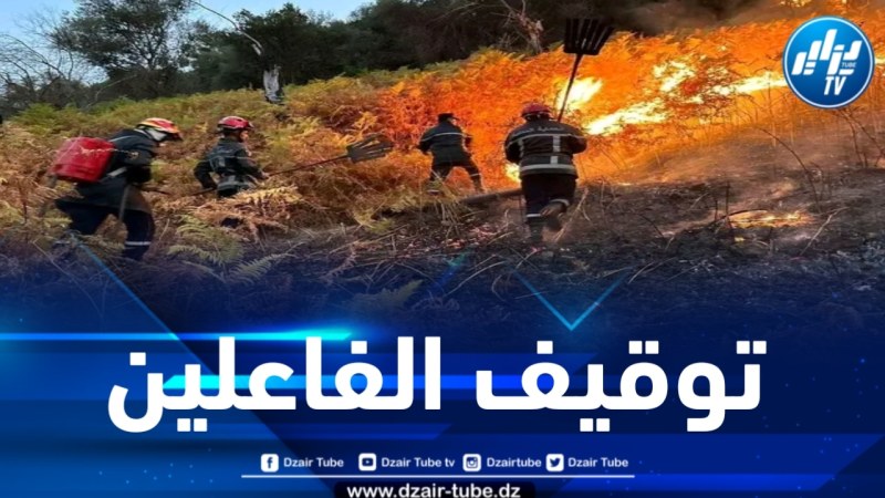 توقيف المتسببين في الحريق الذي شب مؤخراً بغابات بجاية 